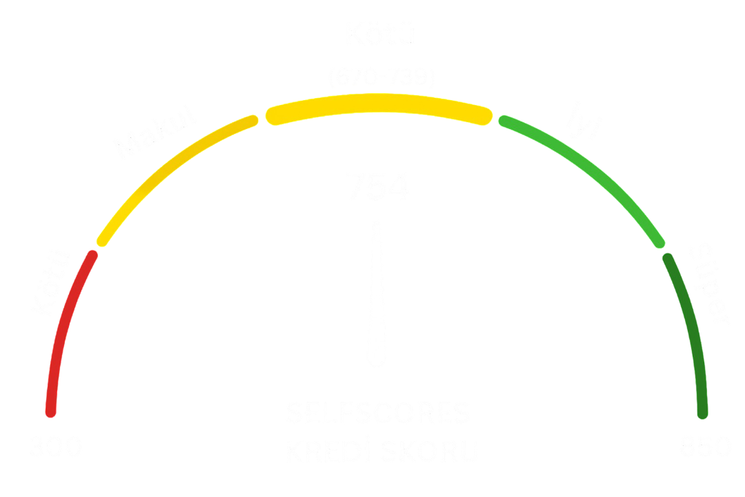 Kredi Skoru Analizi Grafiği - SelfScoring ile kredi notunuzu görselleştirin